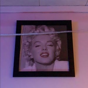 Meet your Posher, Joey